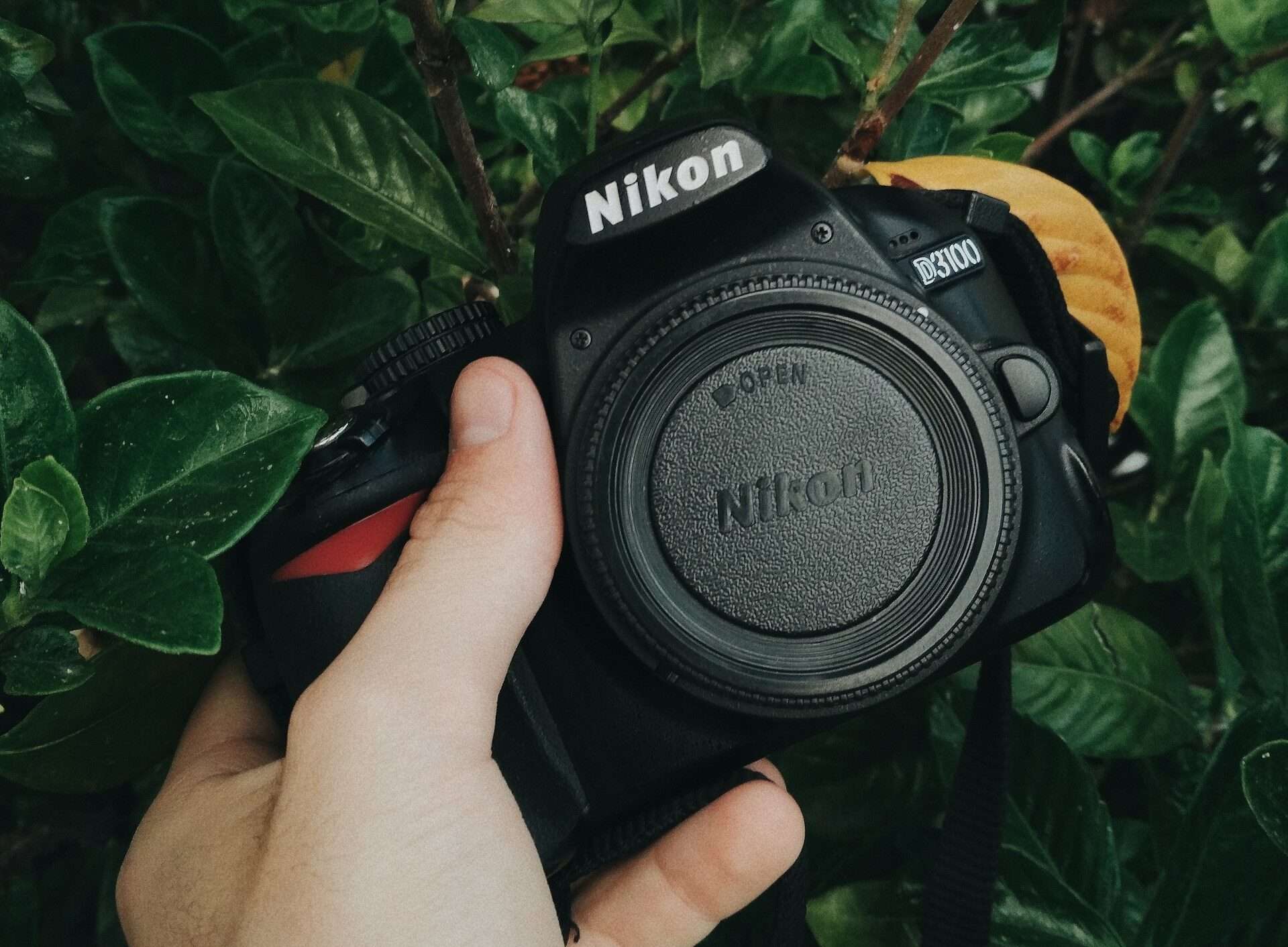 How to Set F Stop on Nikon D3100